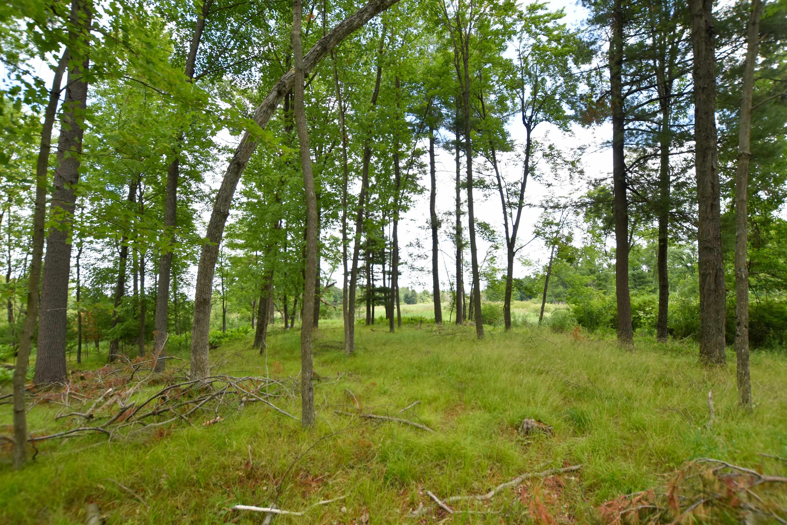 County Road Weyauwega, WI 54983 - Photo 25 of 72