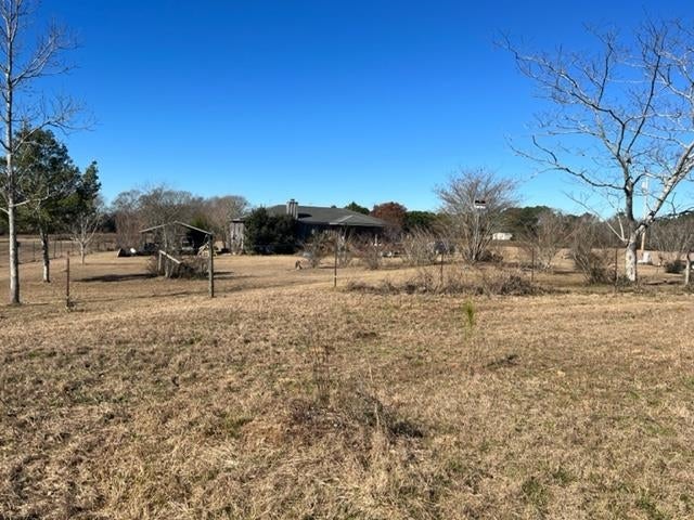 26541 Old Boggy Road Opp, AL 36467 - Photo 27 of 50 Gallery Image 27