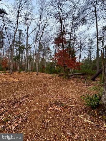 a big yard with lots of green space