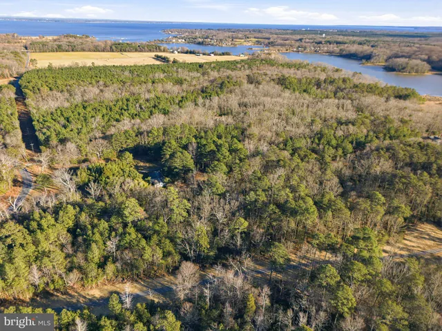 $419,900 | 3 Seagrass Court, King George, VA 22485