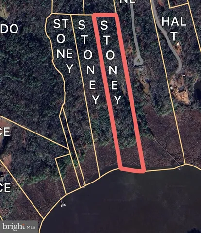 a view of an empty room with trees