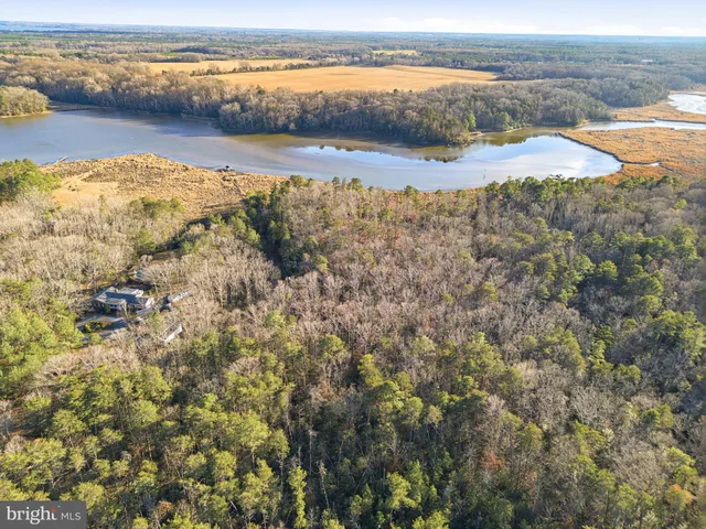 a view of backyard with green space