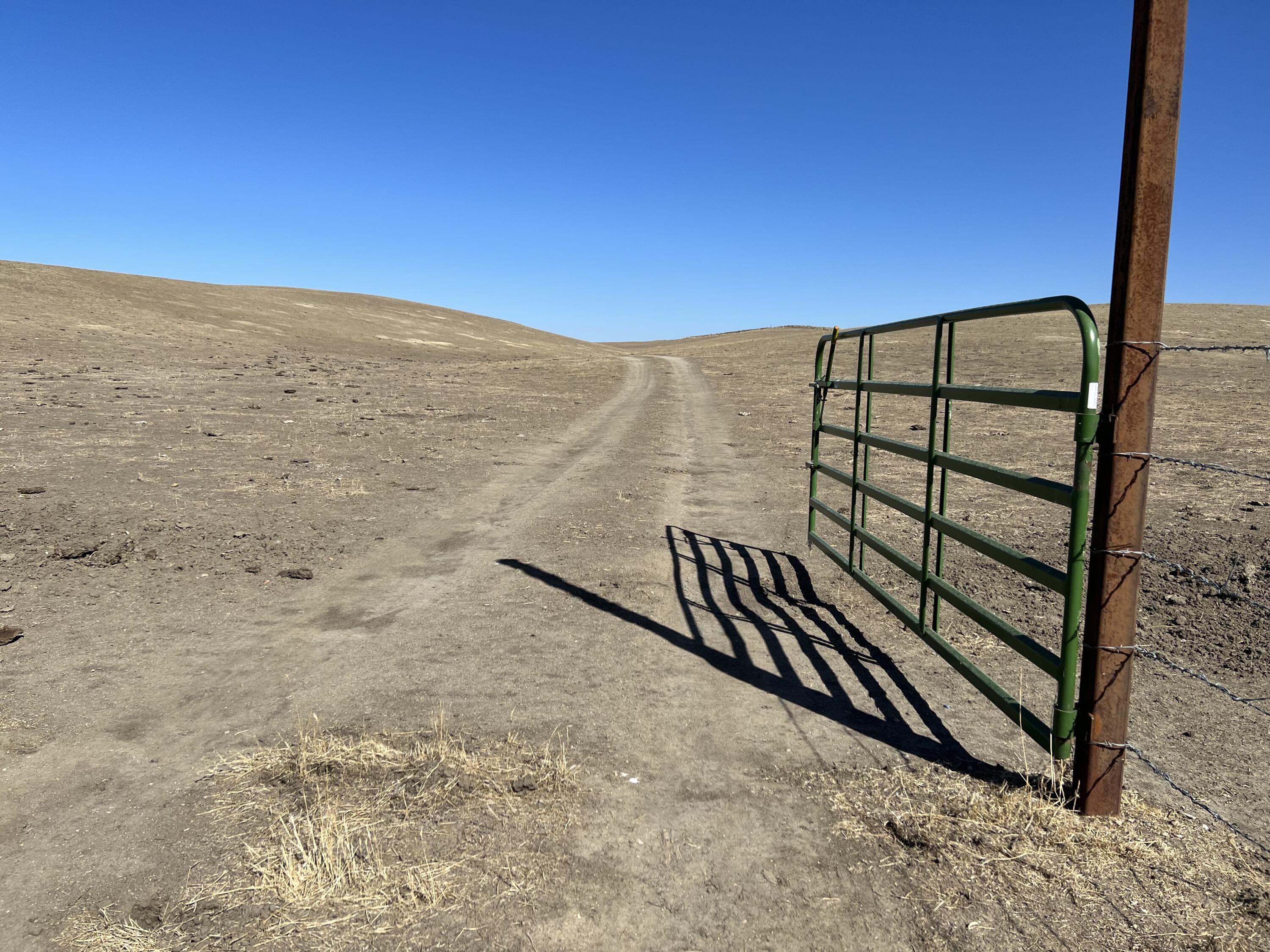 Famoso Rd Road Bakersfield, CA 93308 - Photo 2 of 5 IMG-1776