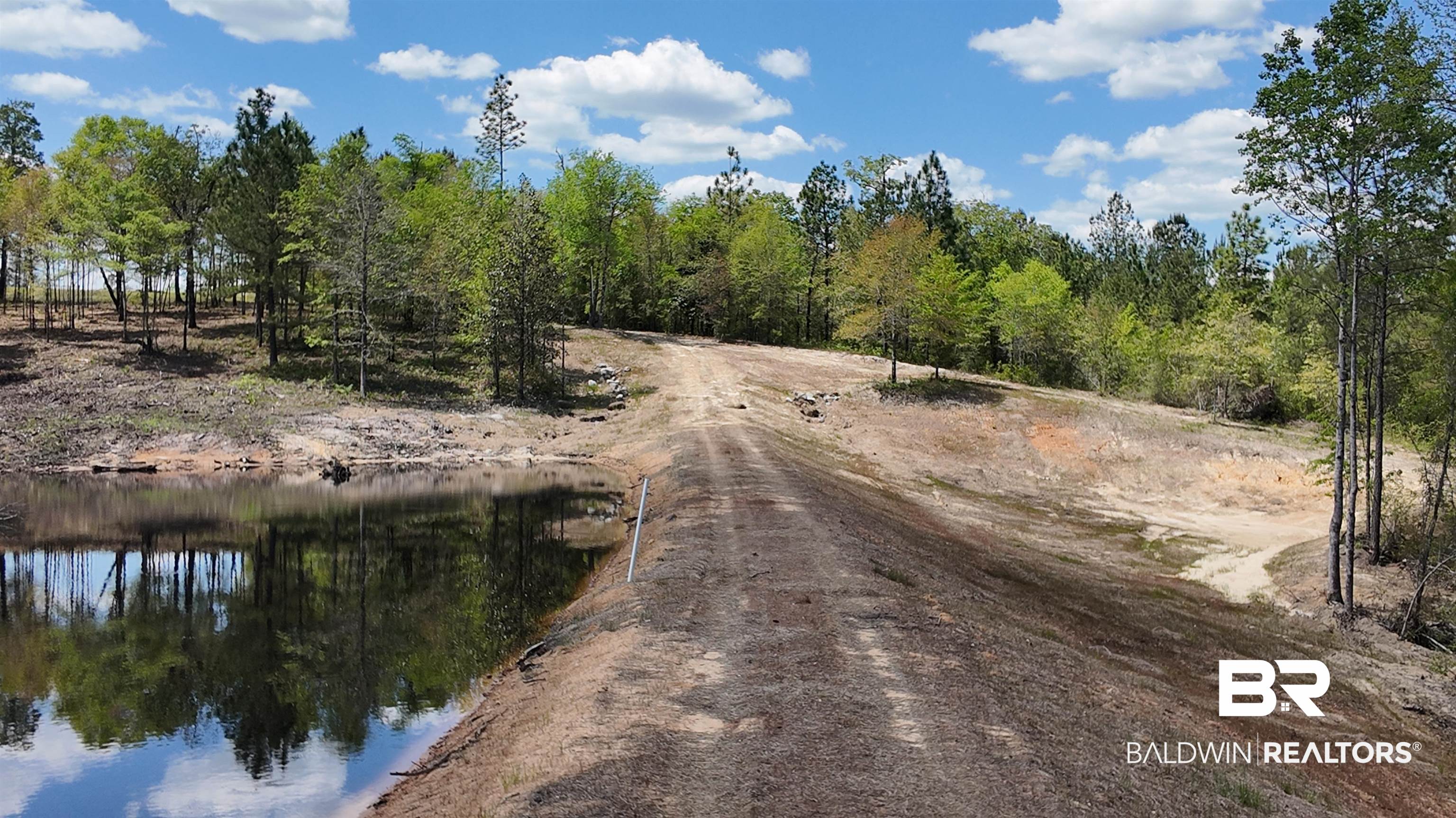 0 Powell Road Eight Mile, AL 36613 - Photo 25 of 57