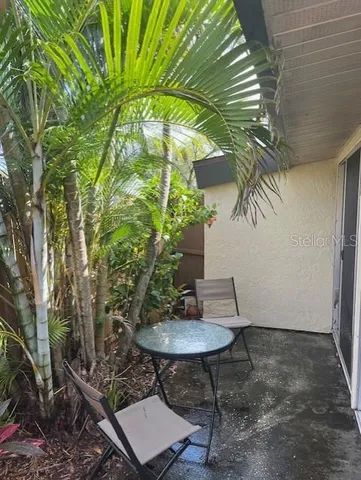 a view of a backyard with plants and a garden