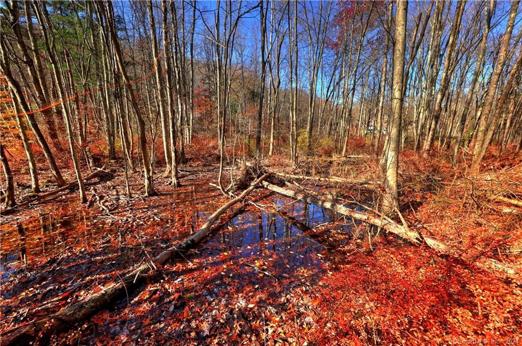 81 Oneil Road Oxford, CT 06478 - Photo 16 of 17 a view of a backyard with a wooden fence