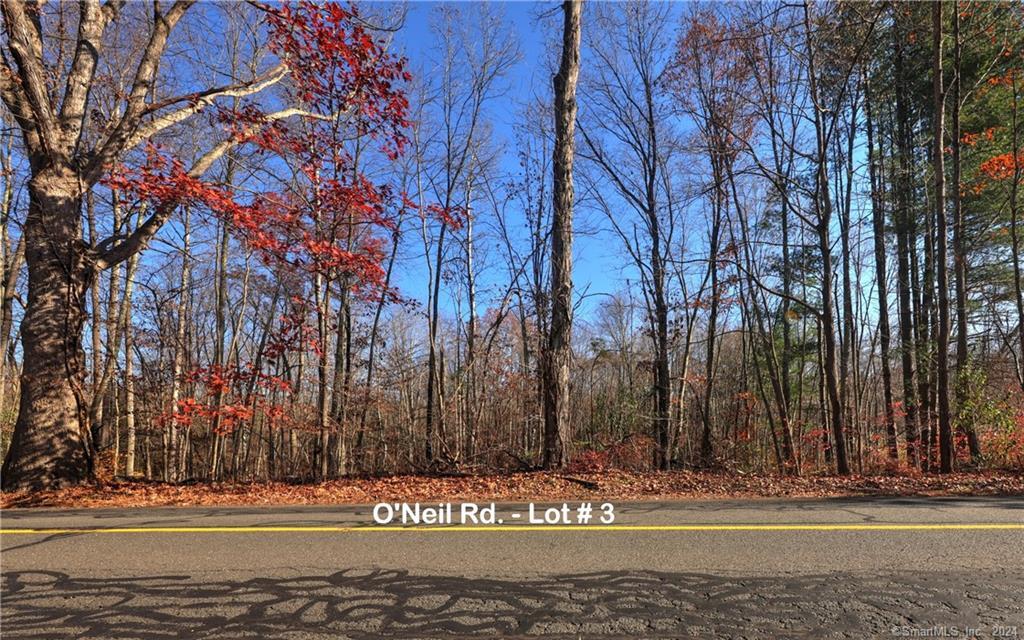 81 Oneil Road Oxford, CT 06478 - Photo 2 of 17 a view of a water fountain with large trees