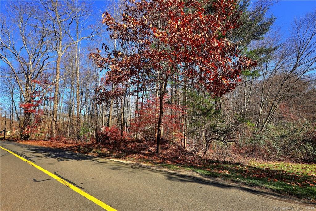 81 Oneil Road Oxford, CT 06478 - Photo 3 of 17 a view of a street with a tree