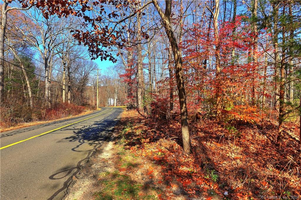 81 Oneil Road Oxford, CT 06478 - Photo 4 of 17 a view of a yard with trees