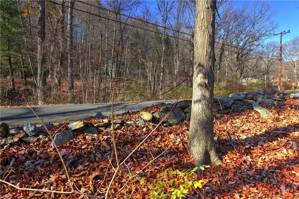 81 Oneil Road Oxford, CT 06478 - Photo 7 of 17 a view of a yard with wooden fence