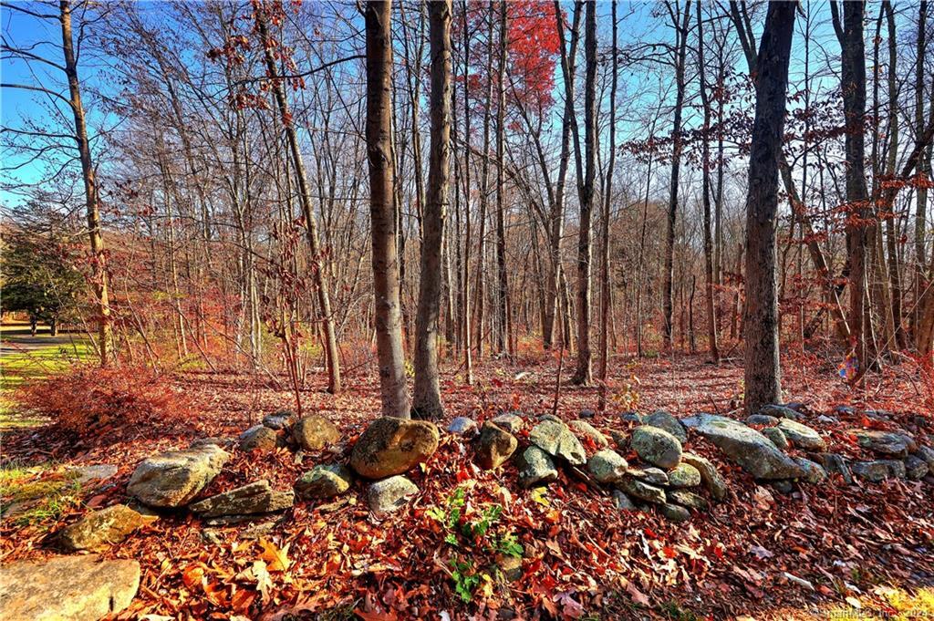 81 Oneil Road Oxford, CT 06478 - Photo 8 of 17 a view of a house with a tree