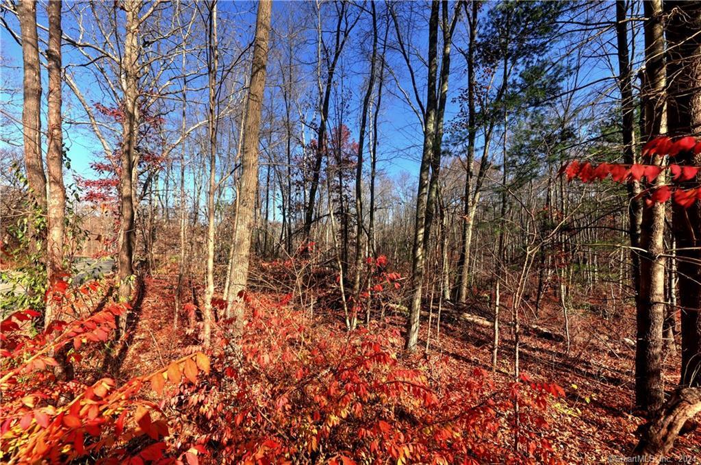 81 Oneil Road Oxford, CT 06478 - Photo 9 of 17 a backyard of a house with lots of green space
