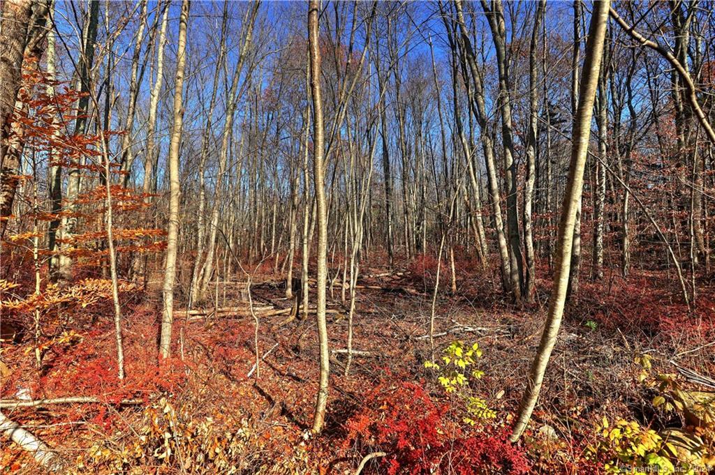 81 Oneil Road Oxford, CT 06478 - Photo 10 of 17