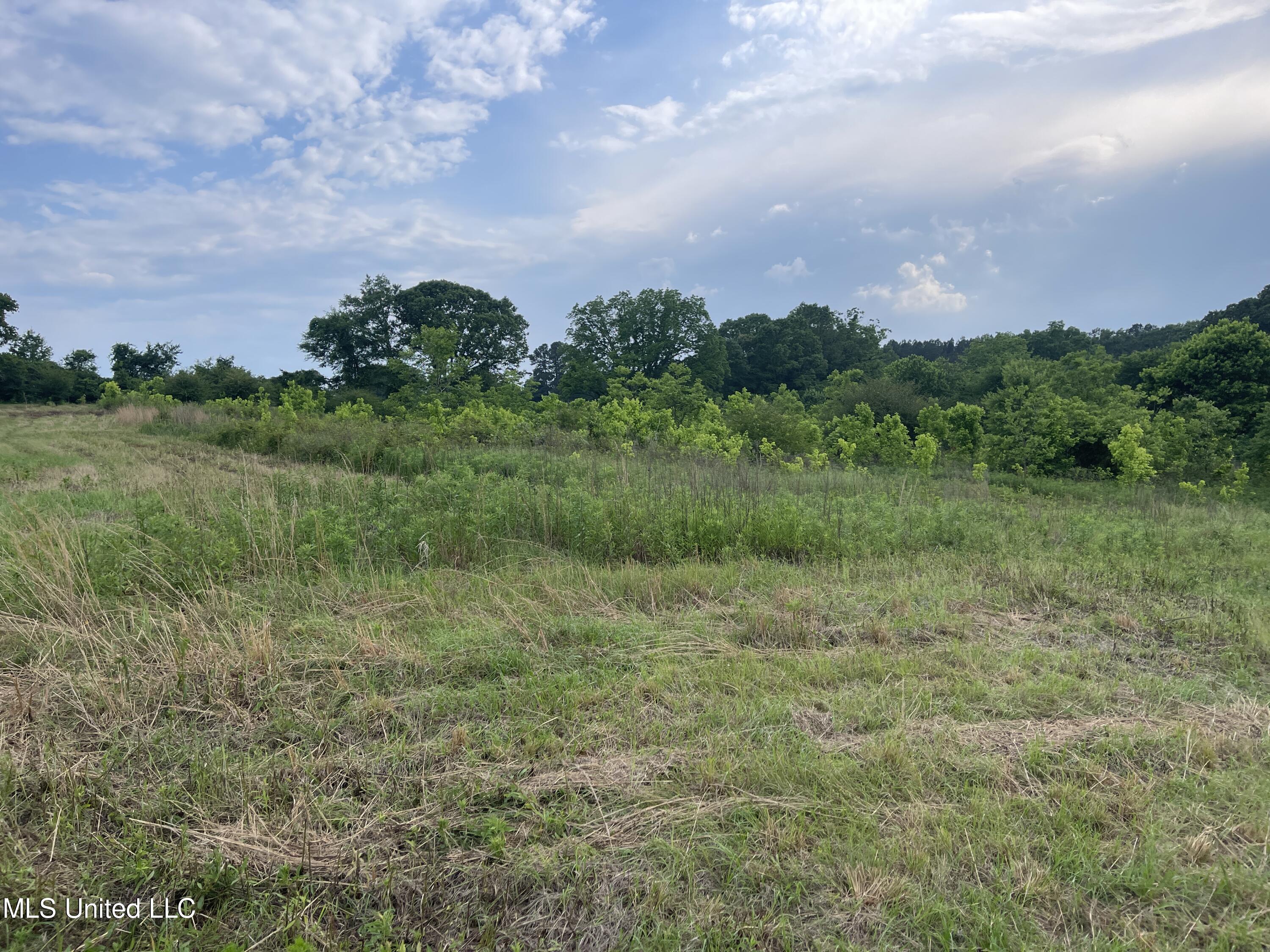 4780 County Line Road Carthage, MS 39051 - Photo 56 of 97 IMG_6163