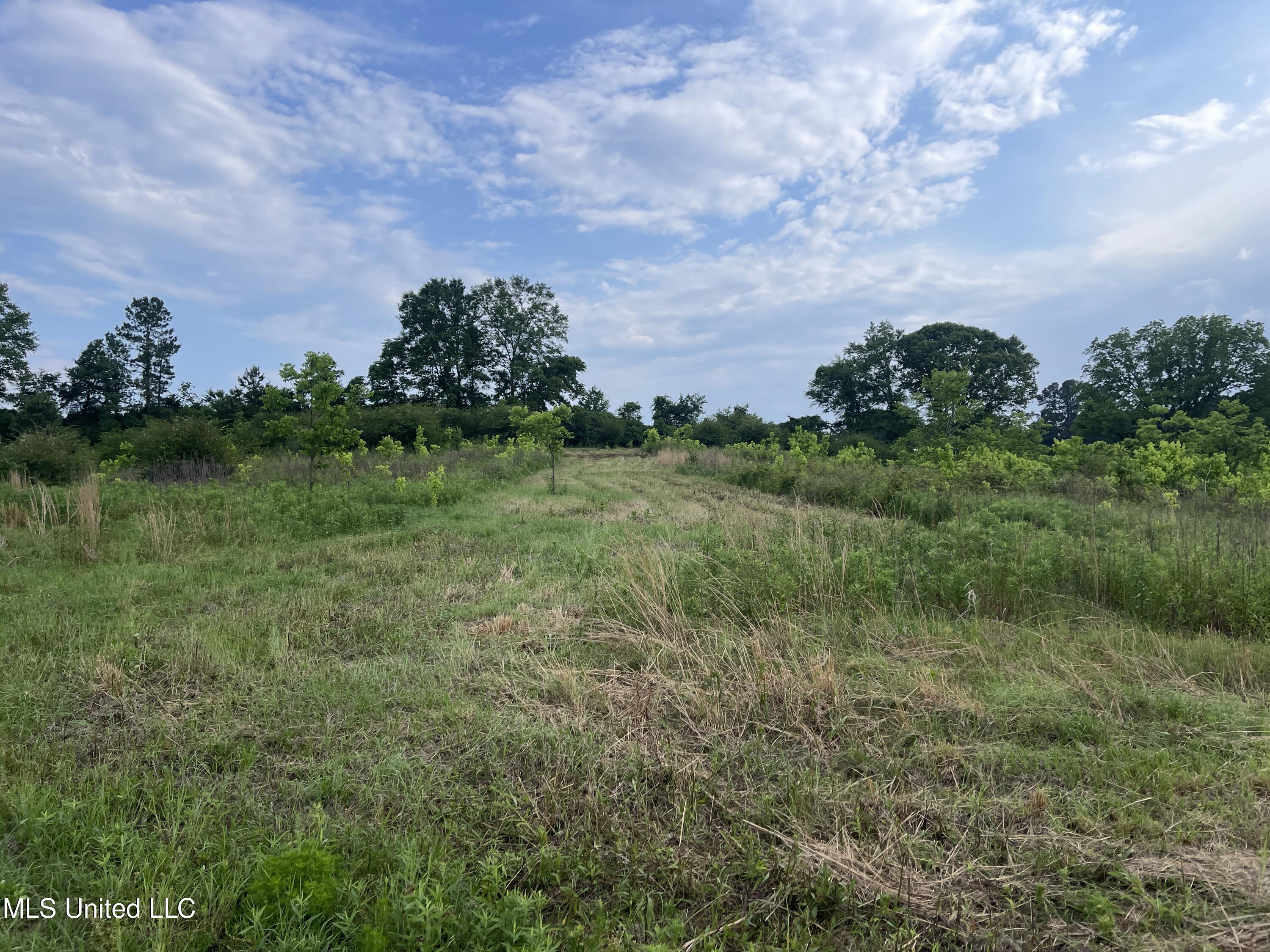 4780 County Line Road Carthage, MS 39051 - Photo 57 of 97 IMG_6162