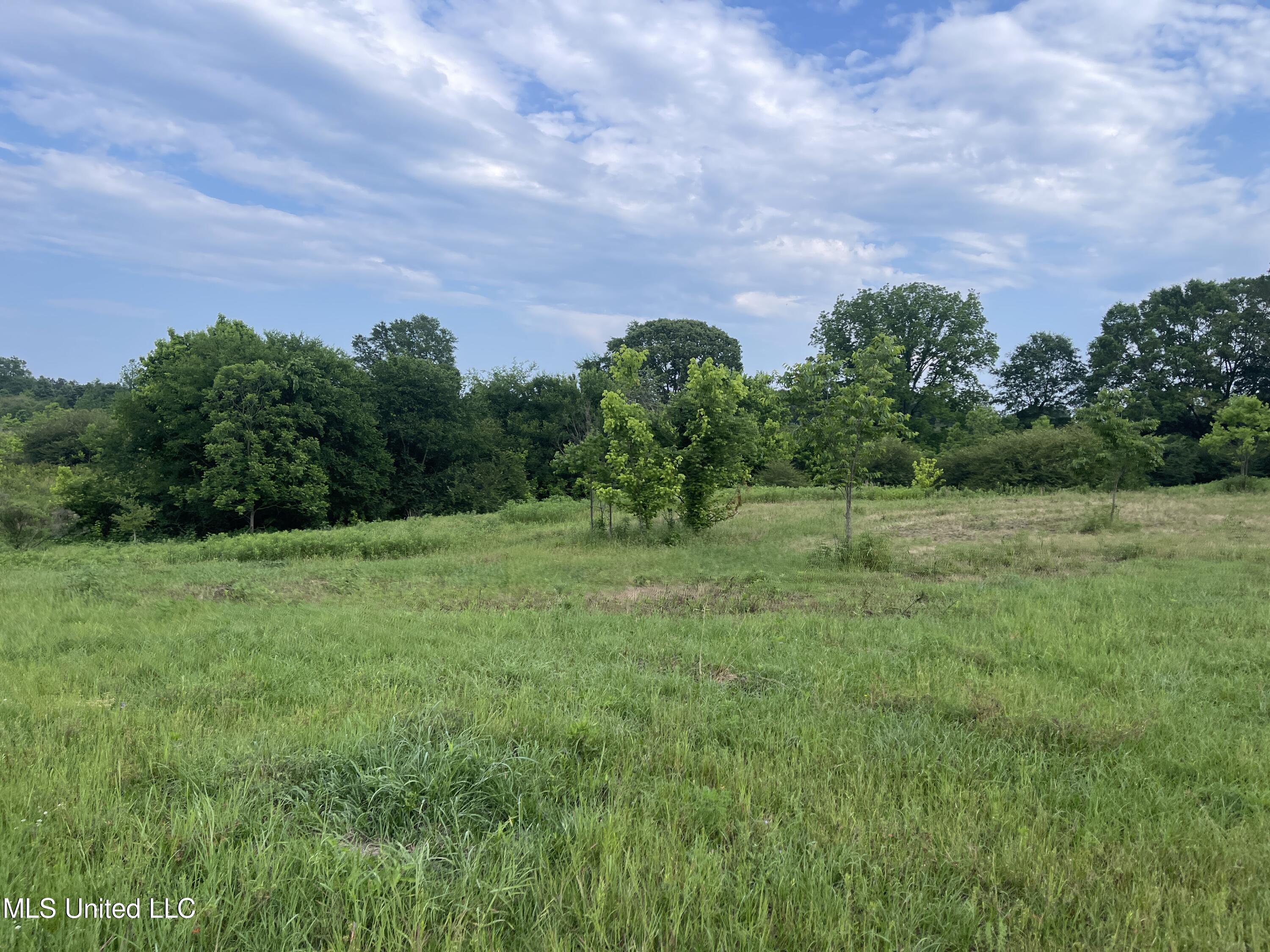 4780 County Line Road Carthage, MS 39051 - Photo 60 of 97 IMG_6156