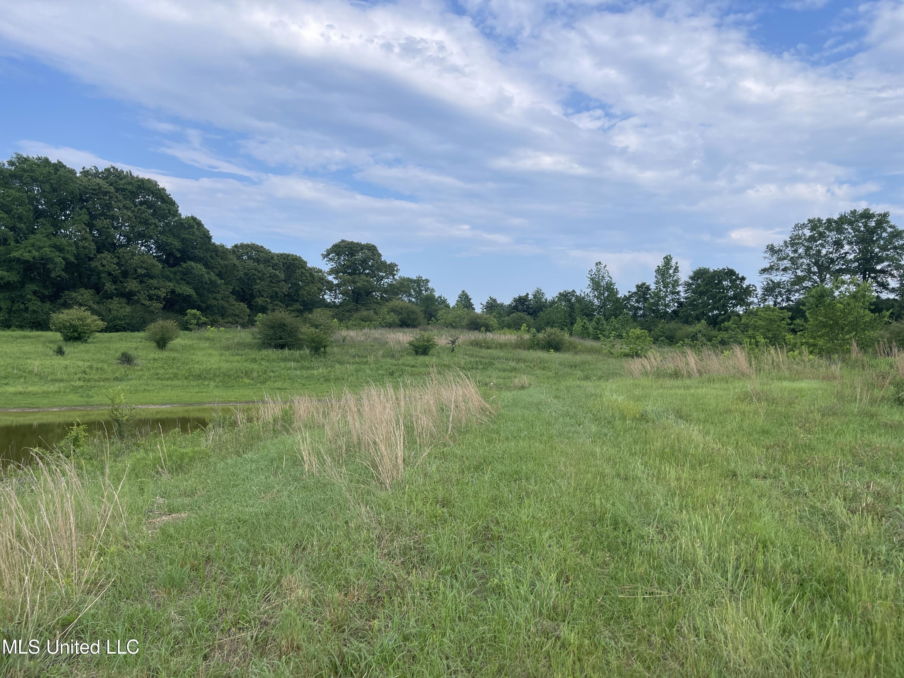 4780 County Line Road Carthage, MS 39051 - Photo 61 of 97 IMG_6161