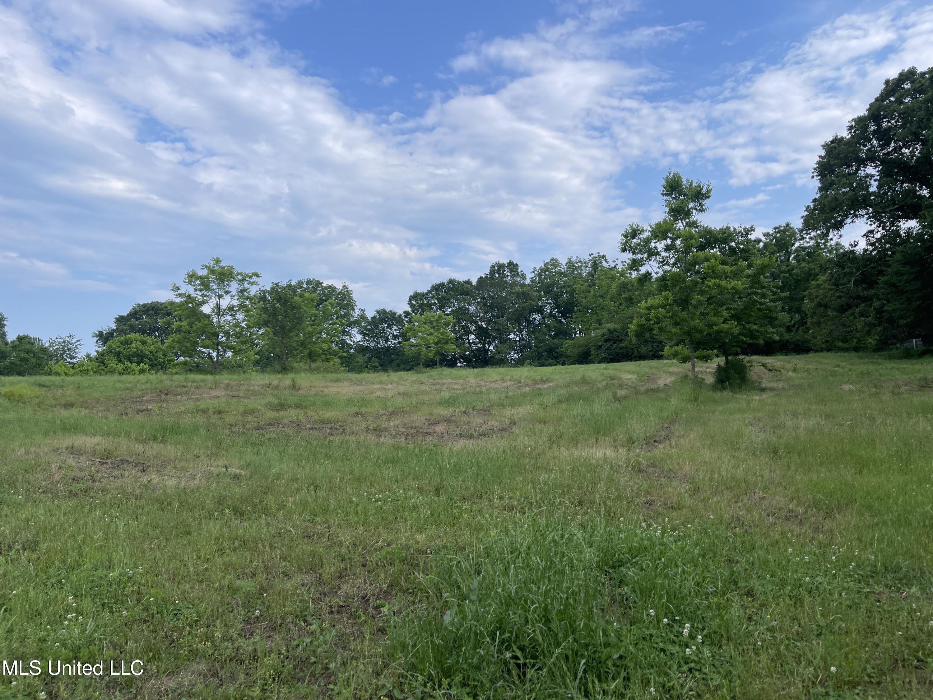 4780 County Line Road Carthage, MS 39051 - Photo 62 of 97 IMG_6155