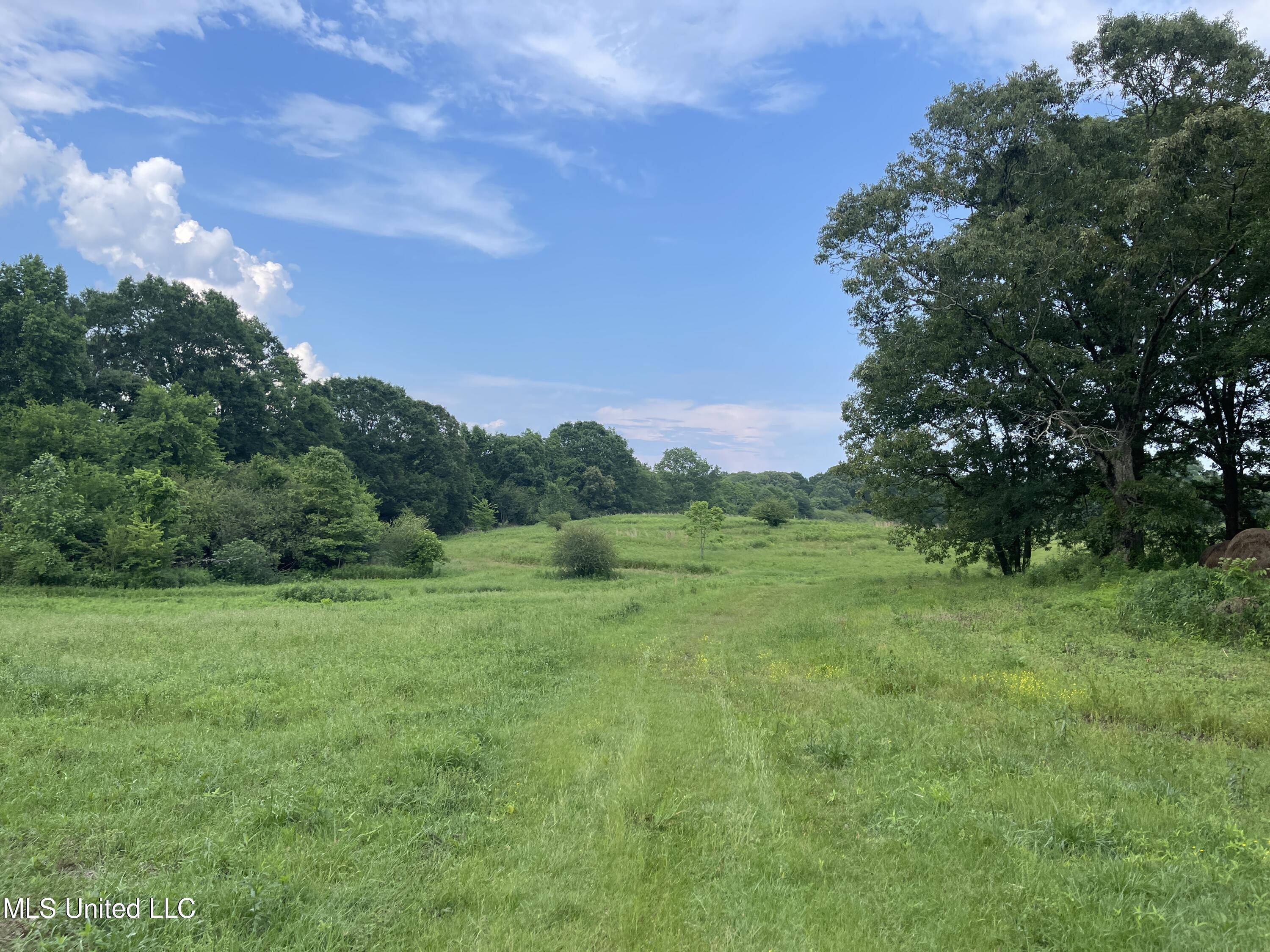 4780 County Line Road Carthage, MS 39051 - Photo 63 of 97 IMG_6153