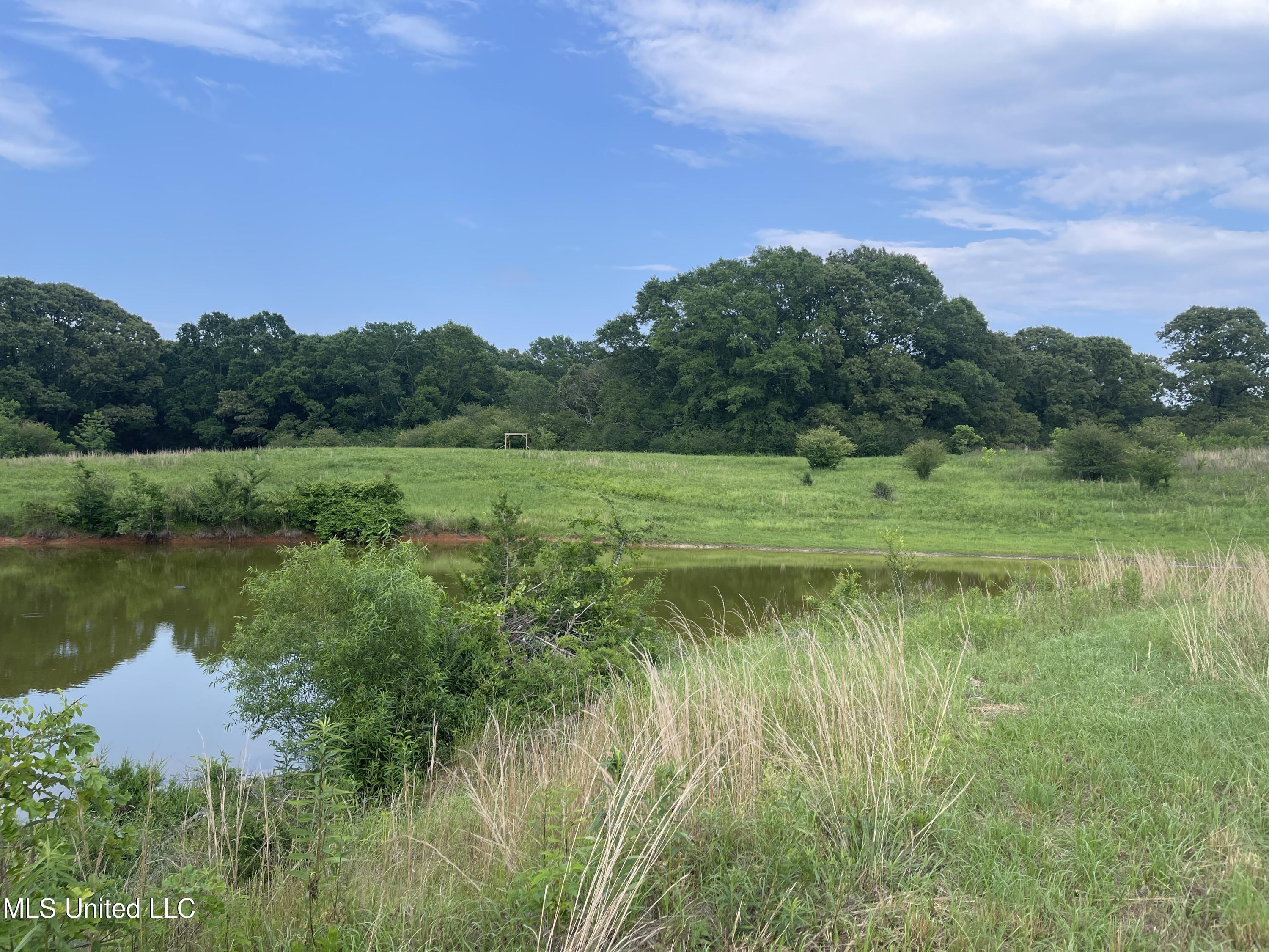 4780 County Line Road Carthage, MS 39051 - Photo 65 of 97 IMG_6160