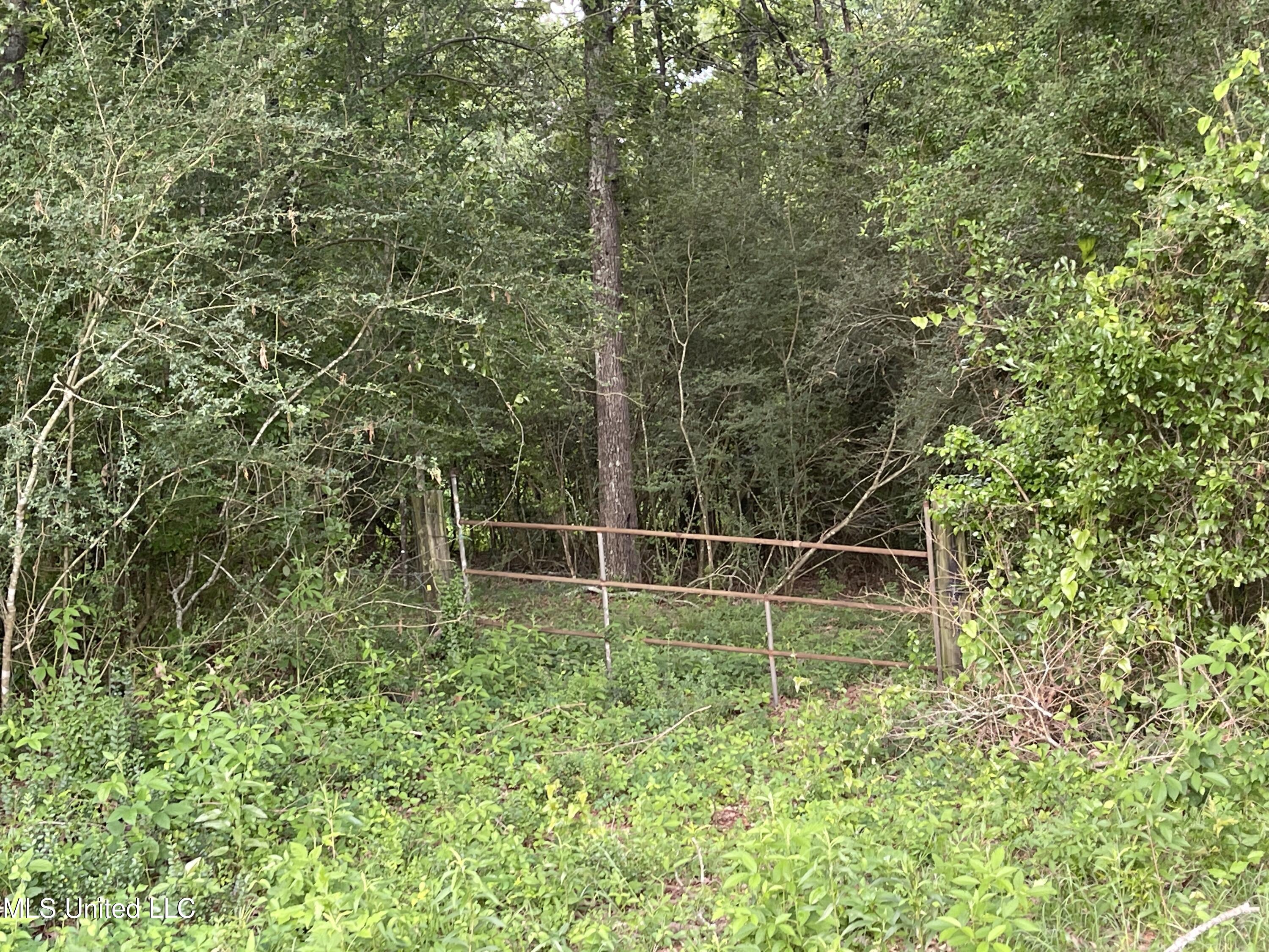4780 County Line Road Carthage, MS 39051 - Photo 69 of 97 IMG_6168
