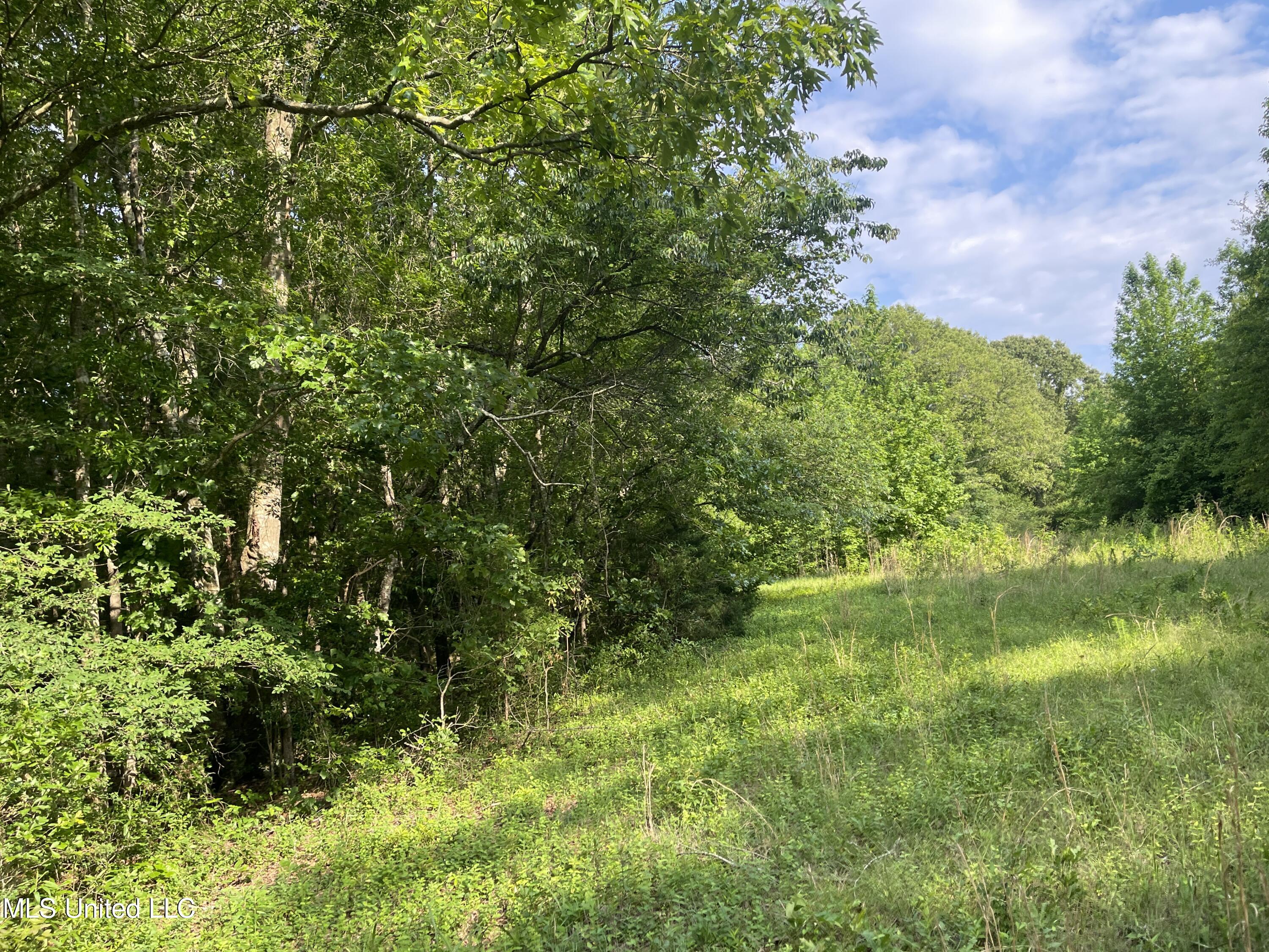 4780 County Line Road Carthage, MS 39051 - Photo 70 of 97 IMG_6182