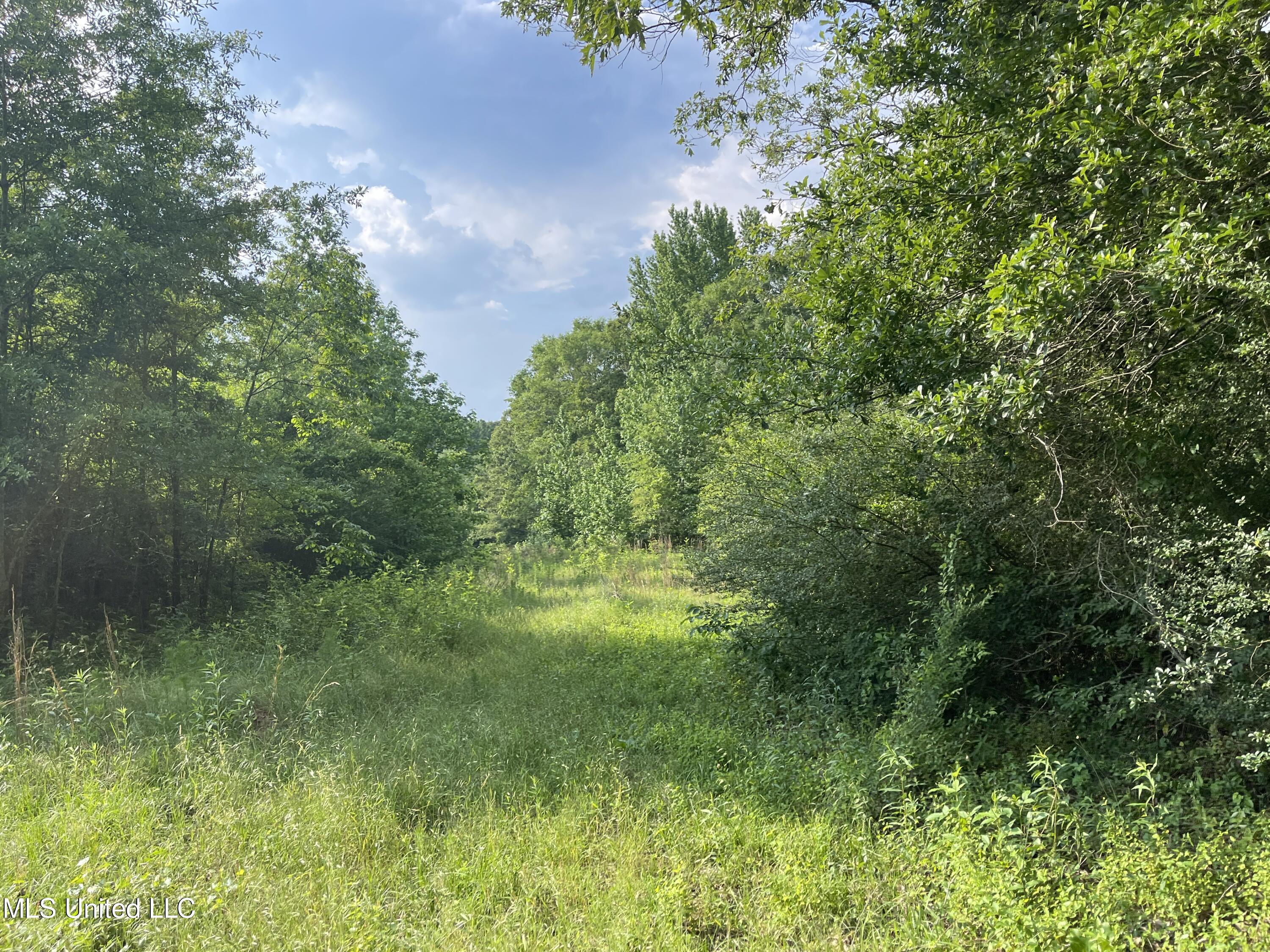 4780 County Line Road Carthage, MS 39051 - Photo 72 of 97 IMG_6180