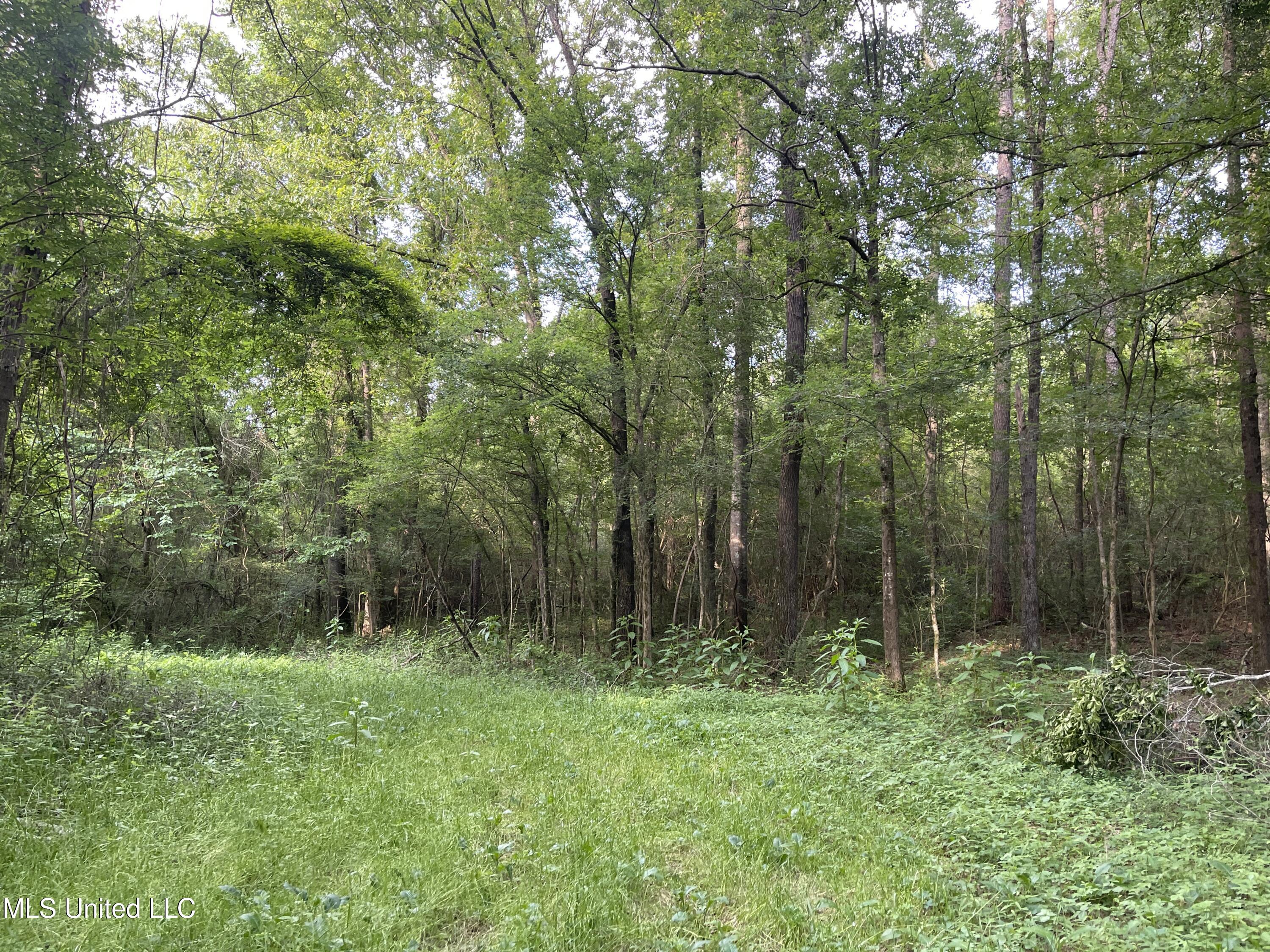 4780 County Line Road Carthage, MS 39051 - Photo 76 of 97 IMG_6177