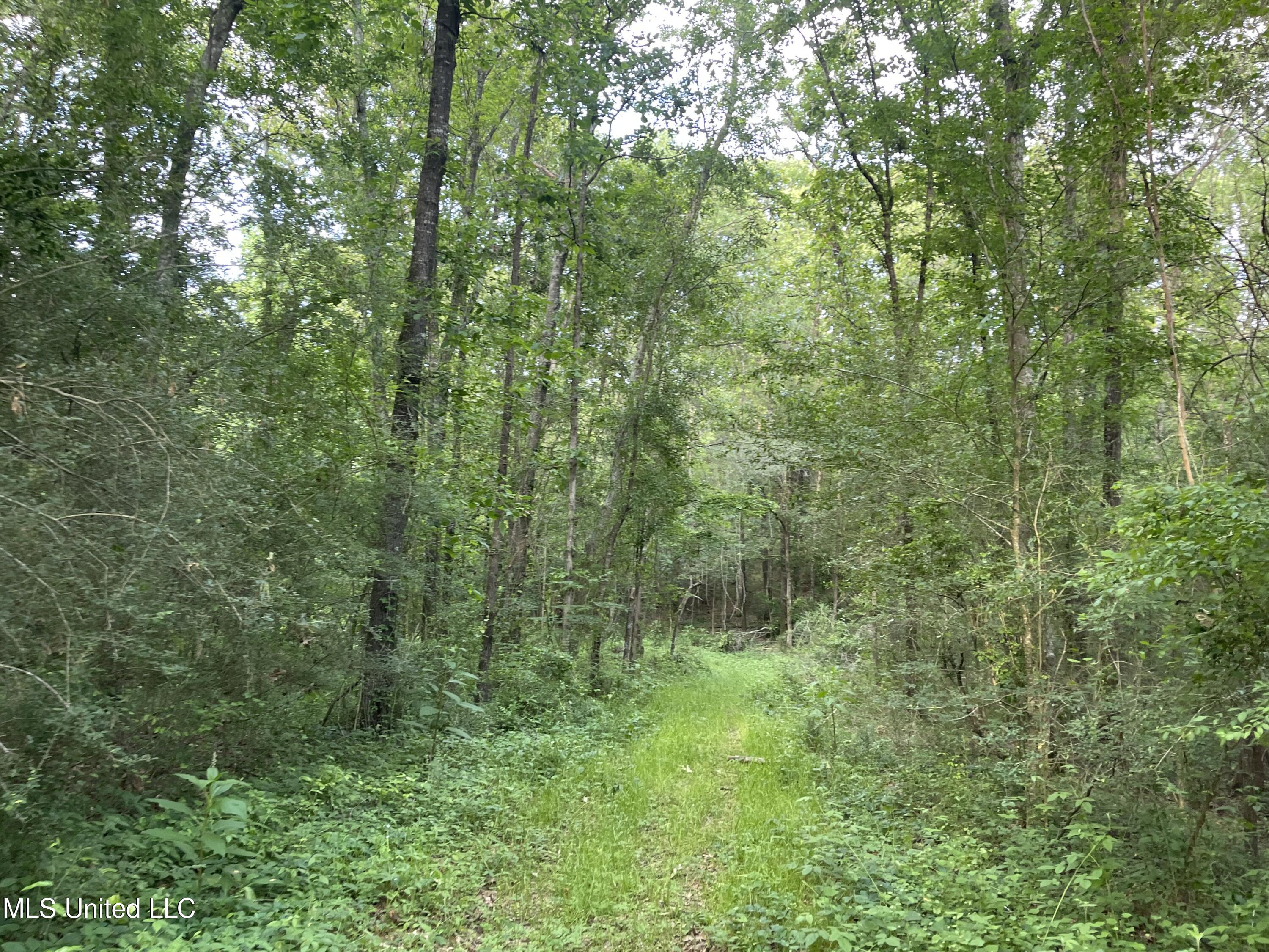 4780 County Line Road Carthage, MS 39051 - Photo 78 of 97 IMG_6175