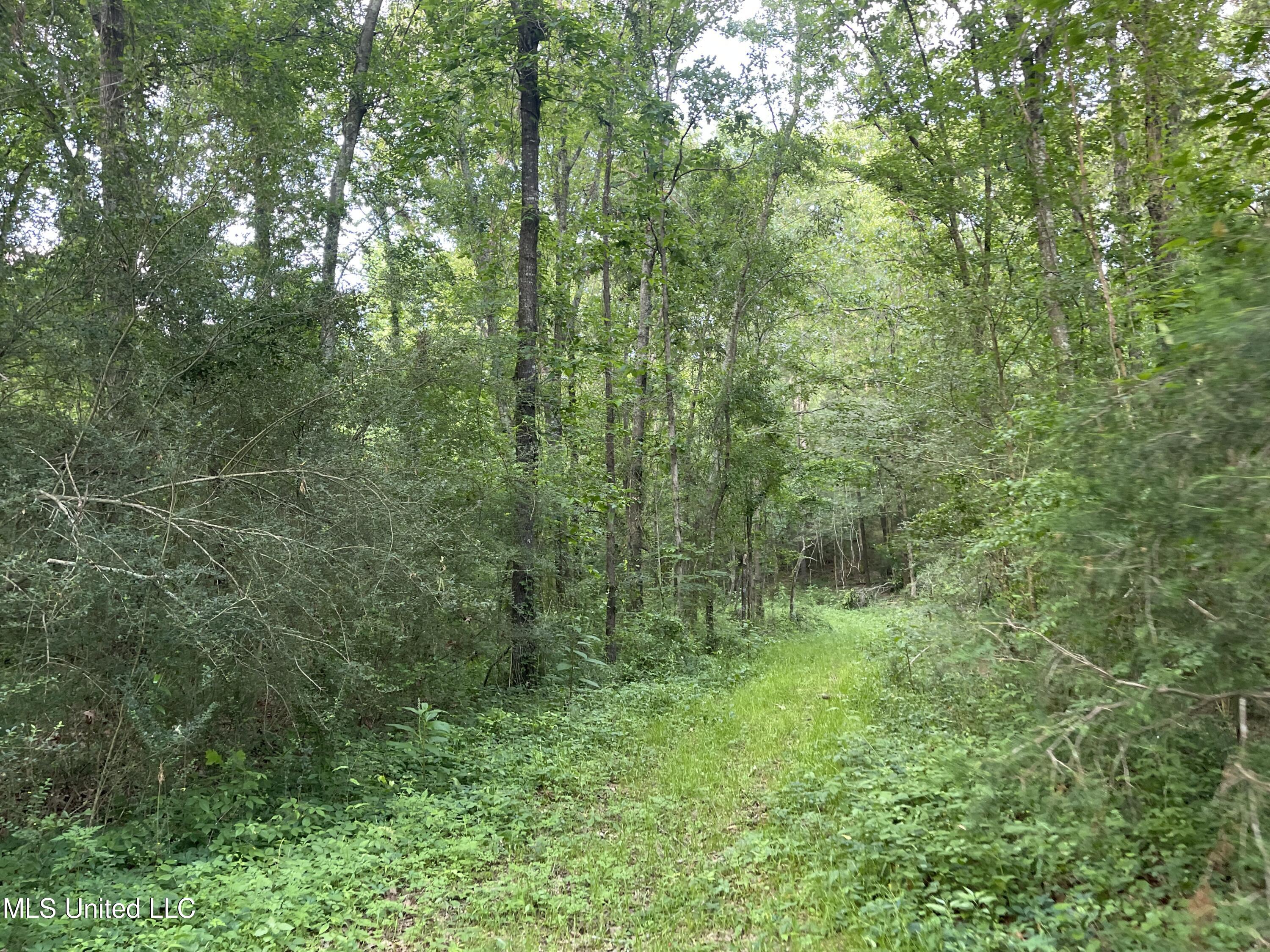 4780 County Line Road Carthage, MS 39051 - Photo 79 of 97 IMG_6174