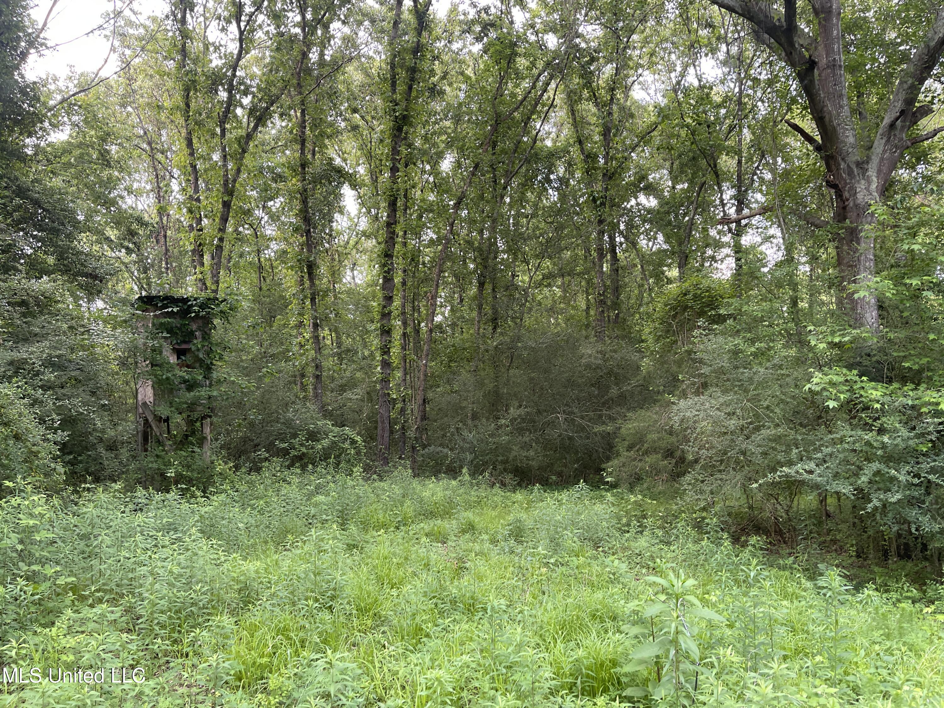 4780 County Line Road Carthage, MS 39051 - Photo 80 of 97 IMG_6173