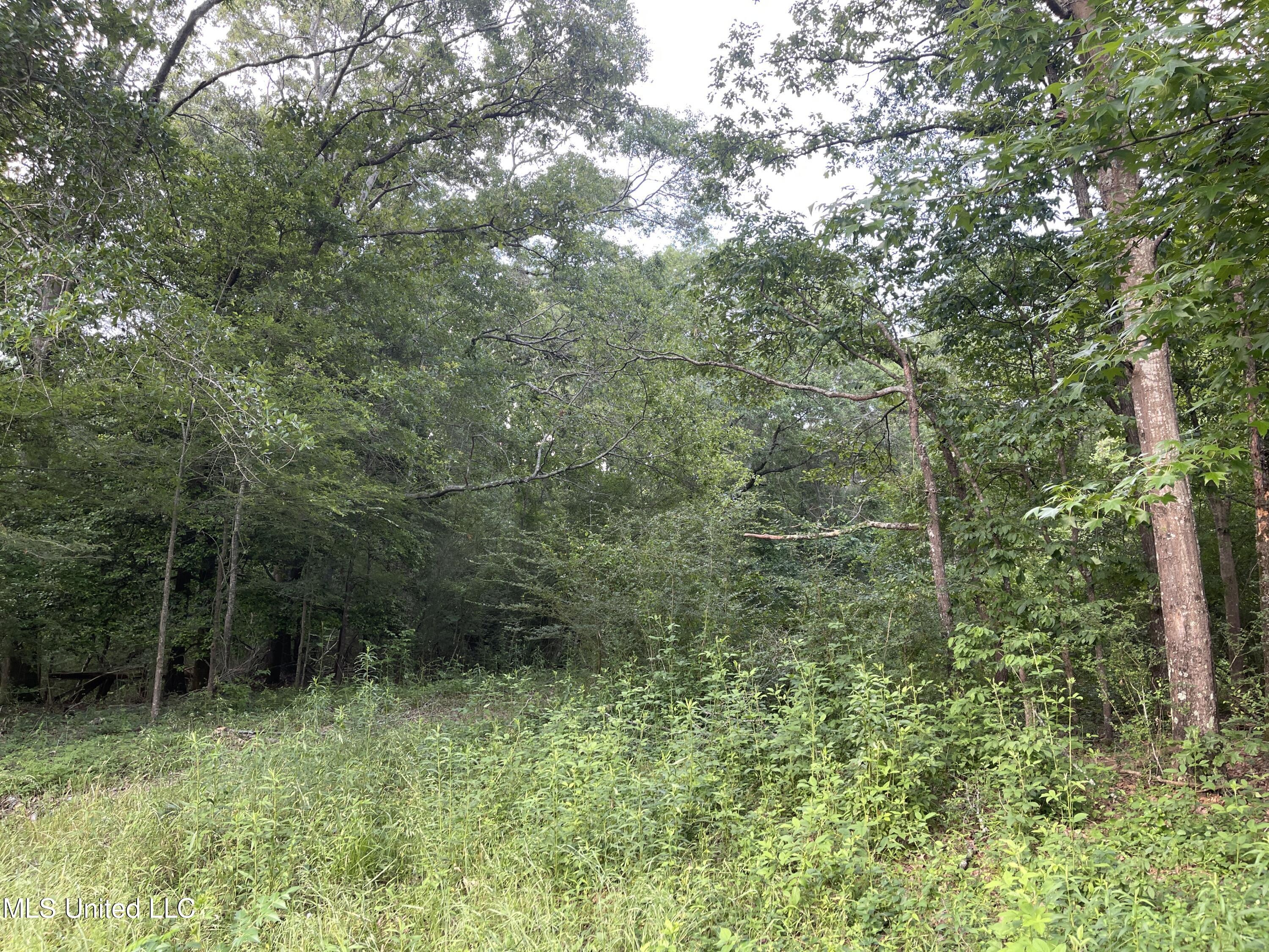 4780 County Line Road Carthage, MS 39051 - Photo 82 of 97 IMG_6171