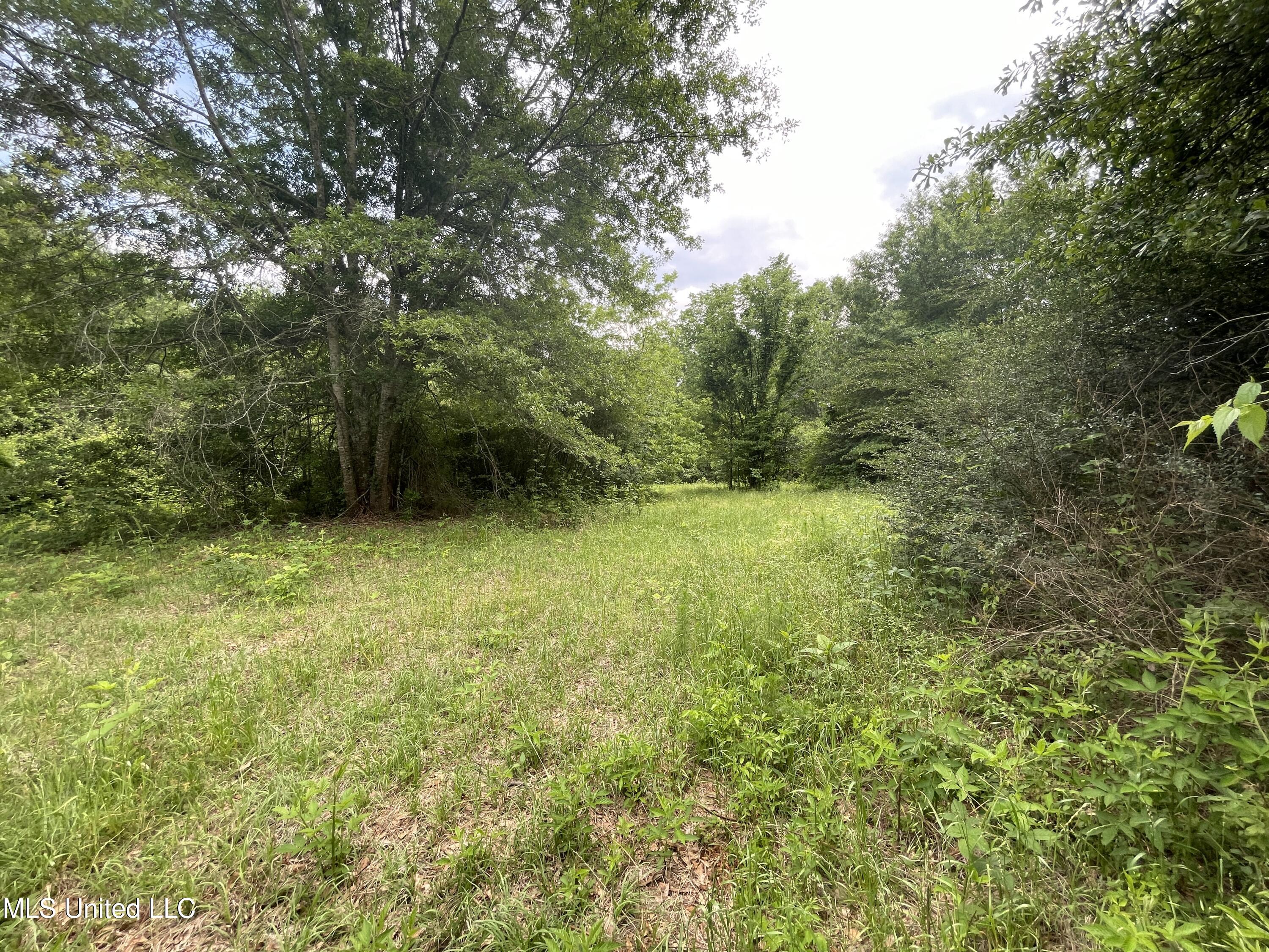 4780 County Line Road Carthage, MS 39051 - Photo 88 of 97 IMG_6092
