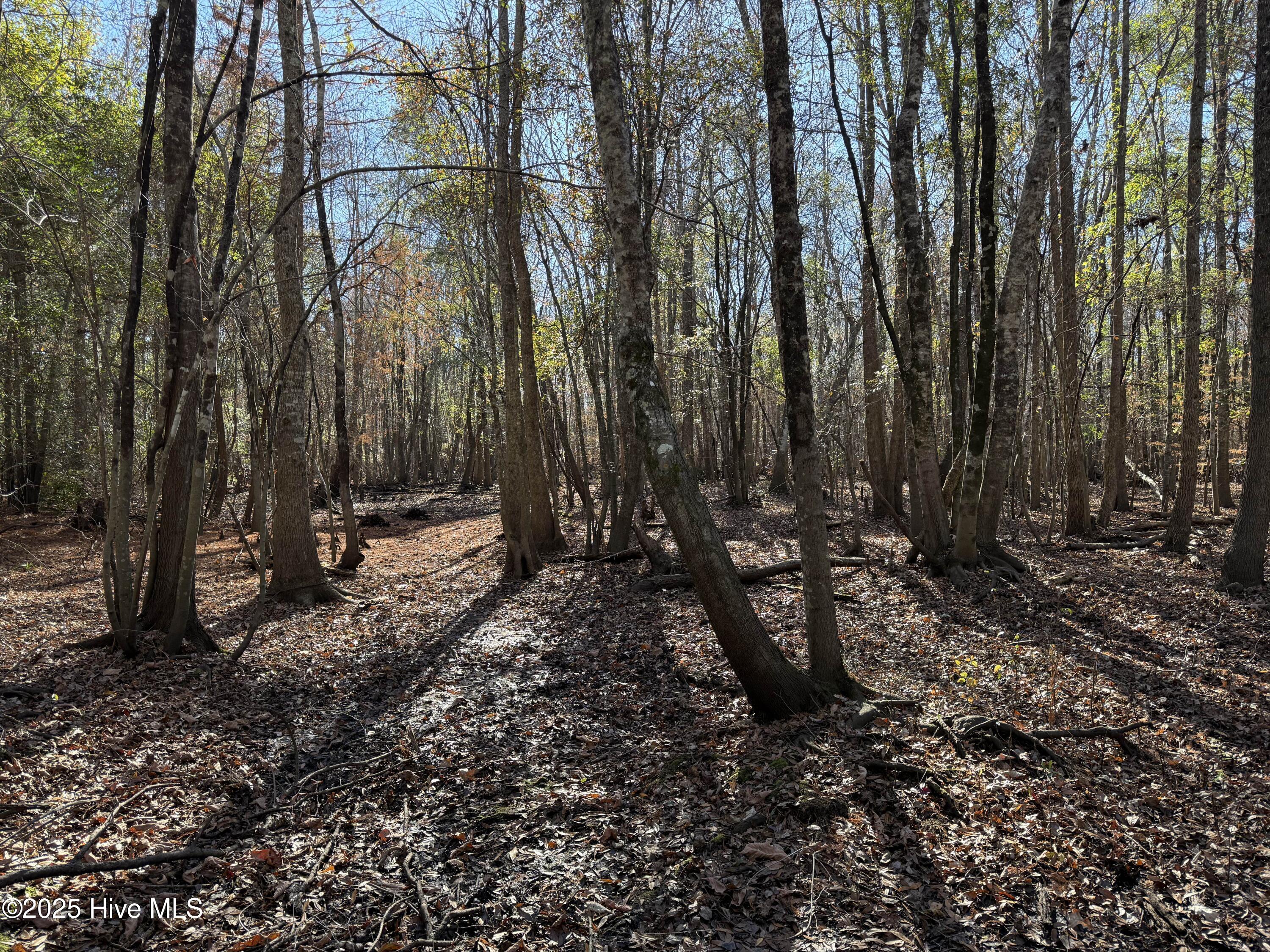 0 Macedonia Church Road Evergreen, NC 28438 - Photo 25 of 34 Image 25