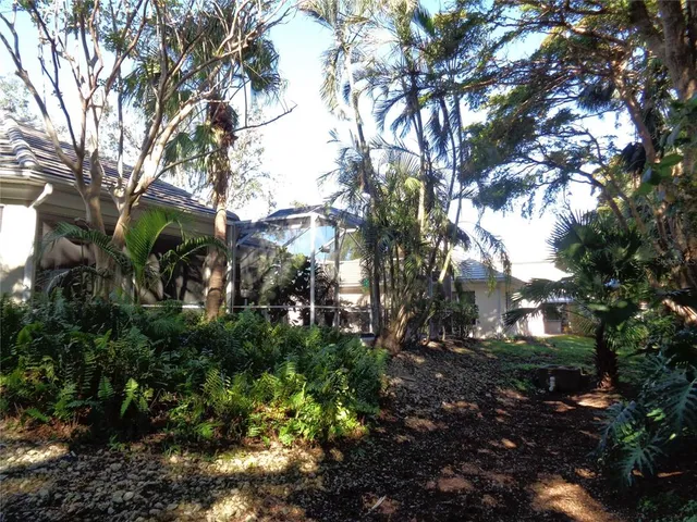 a view of backyard with large trees and wooden fence