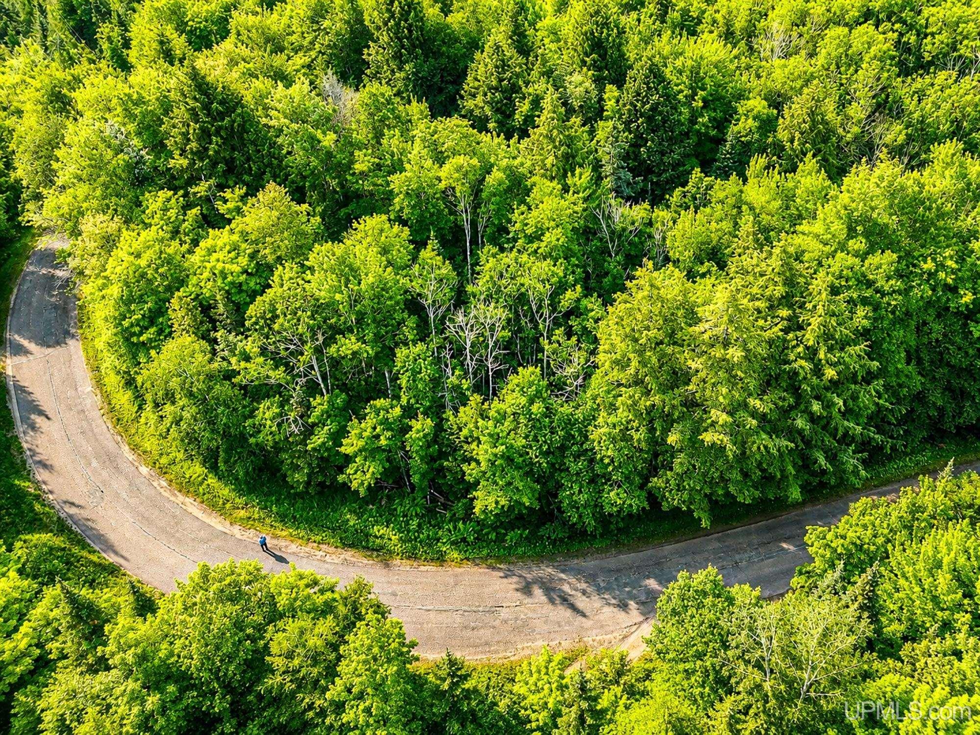 Lot 4 State Line Lake Road East Marenisco, MI 49947 - Photo 1 of 16