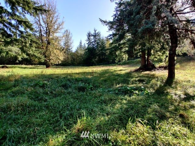 14512 Vantine Road Southeast Tenino, WA 98589 - Photo 16 of 28 Gallery Image 16