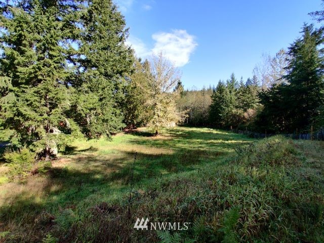 14512 Vantine Road Southeast Tenino, WA 98589 - Photo 18 of 28 Gallery Image 18