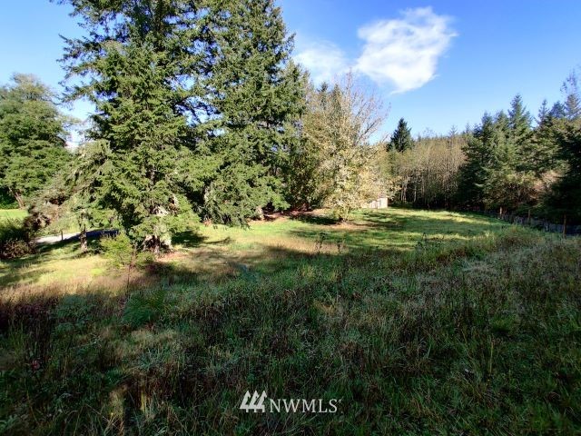 14512 Vantine Road Southeast Tenino, WA 98589 - Photo 3 of 28 Gallery Image 3