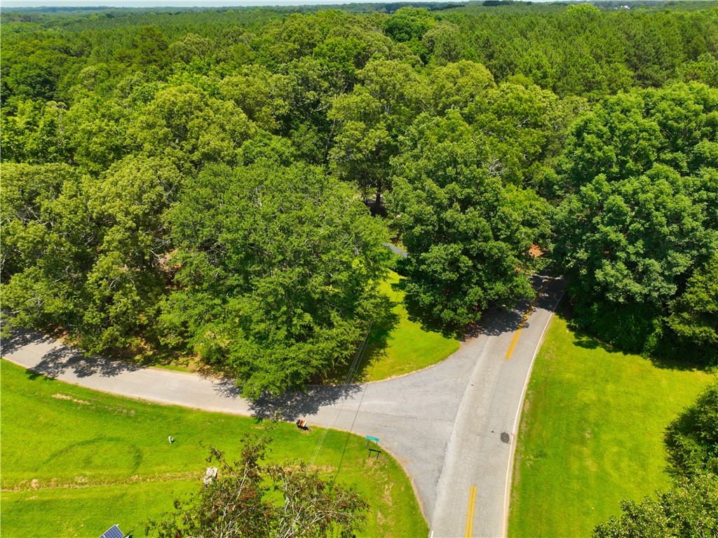 1198 Mize Road Belton, SC 29627 - Photo 29 of 50