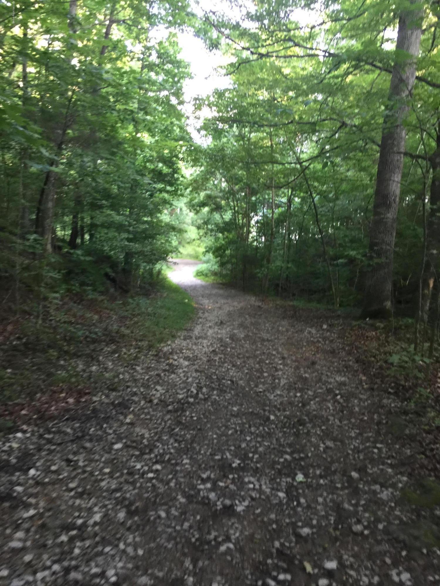 54 Spruce Lane Bee Spring, KY 42207 - Photo 8 of 28 Path to lake across street