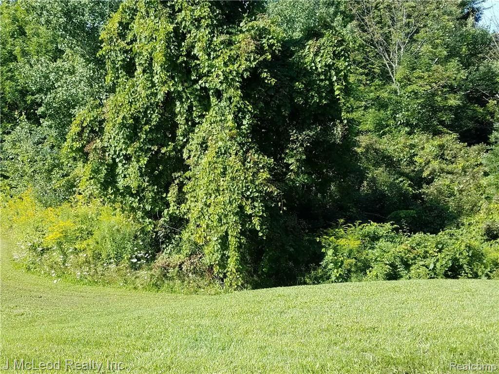 2658 East Swaffer Road Millington, MI 48746 - Photo 13 of 15 2016-08-23 10.34