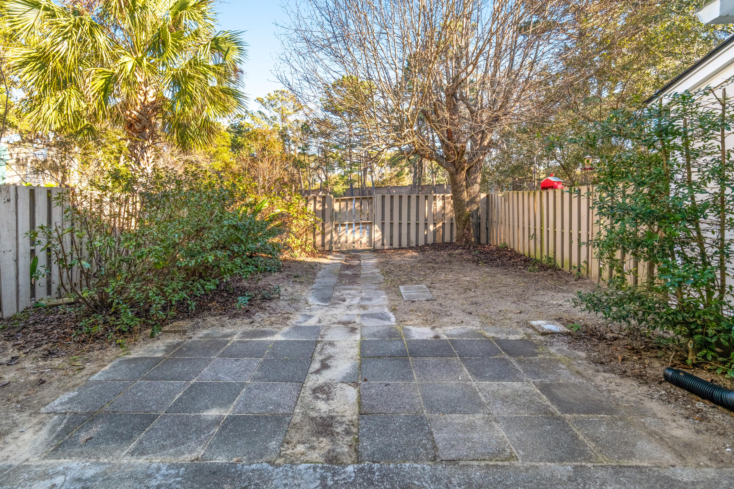 2079 Emerald Terrace Mount Pleasant, SC 29464 - Photo 32 of 40 2079 Emerald Terrace_Eterna_Media-29