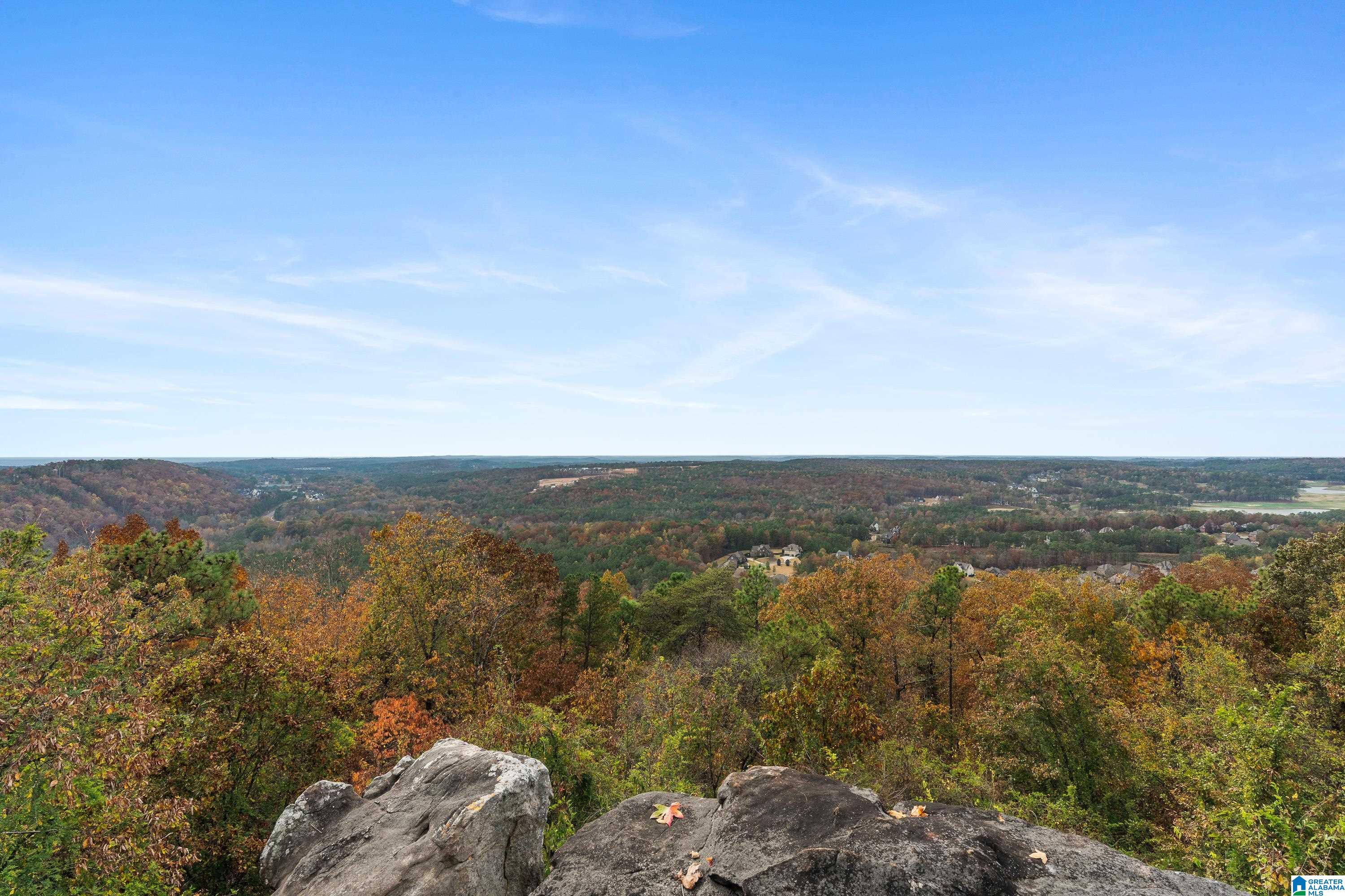 290 Shades Crest Road Birmingham, AL 35226 - Photo 67 of 88 Gallery Image 67