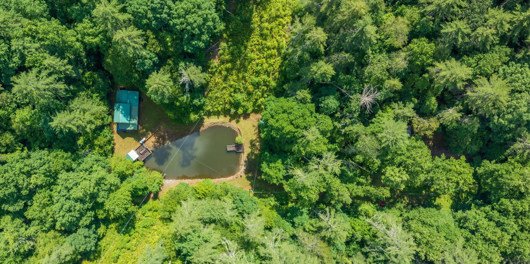230 Big Towee Road Reliance, TN 37369 - Photo 25 of 69 a view of a garden with a fountain
