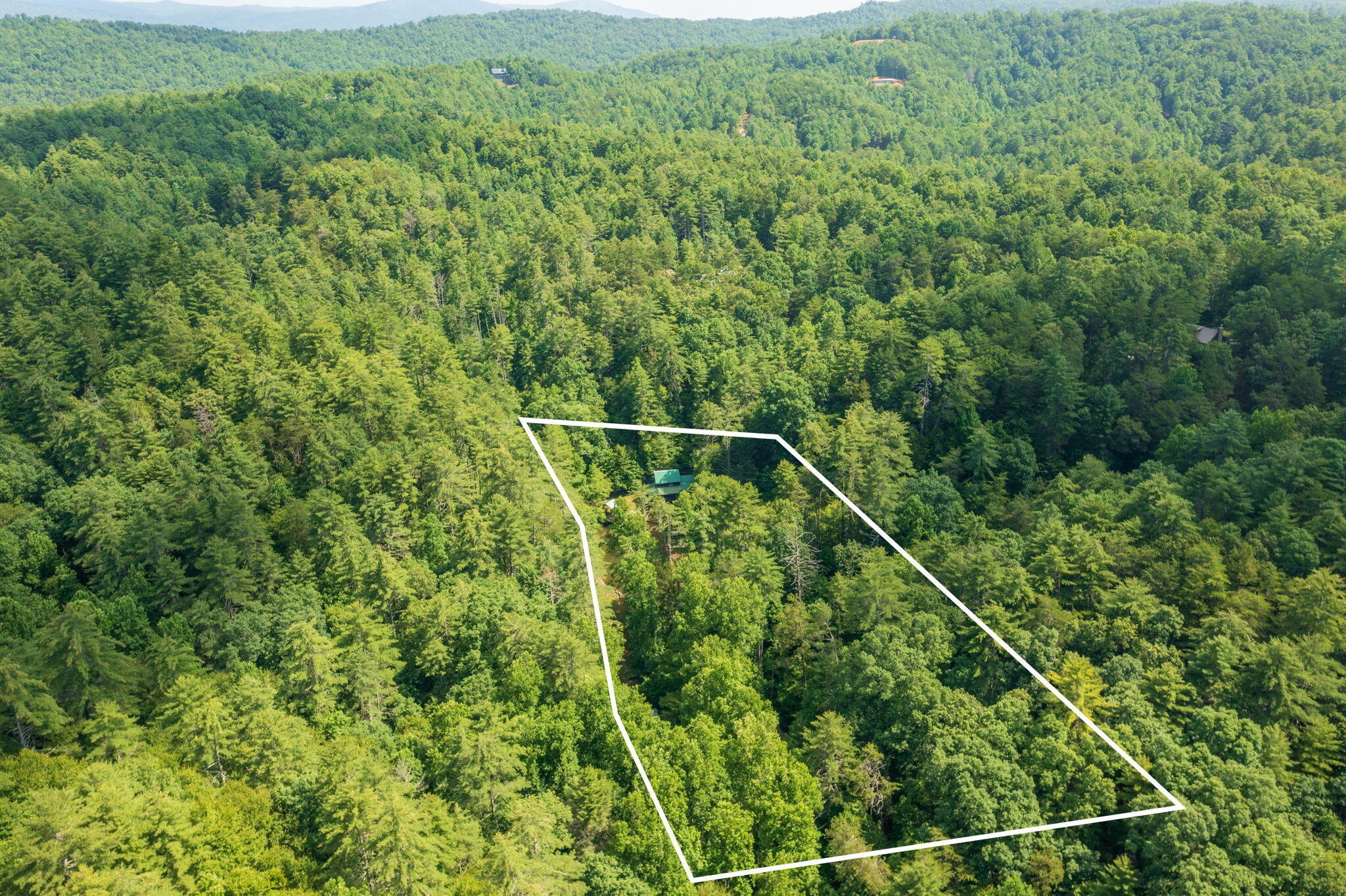 230 Big Towee Road Reliance, TN 37369 - Photo 26 of 69