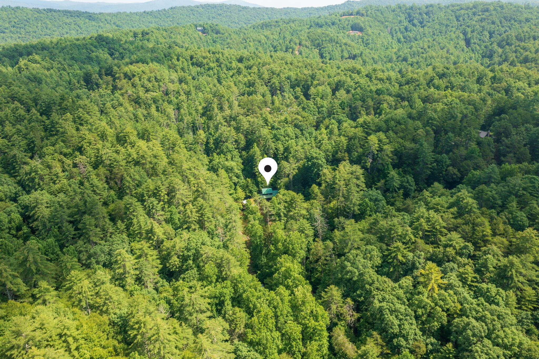 230 Big Towee Road Reliance, TN 37369 - Photo 27 of 69