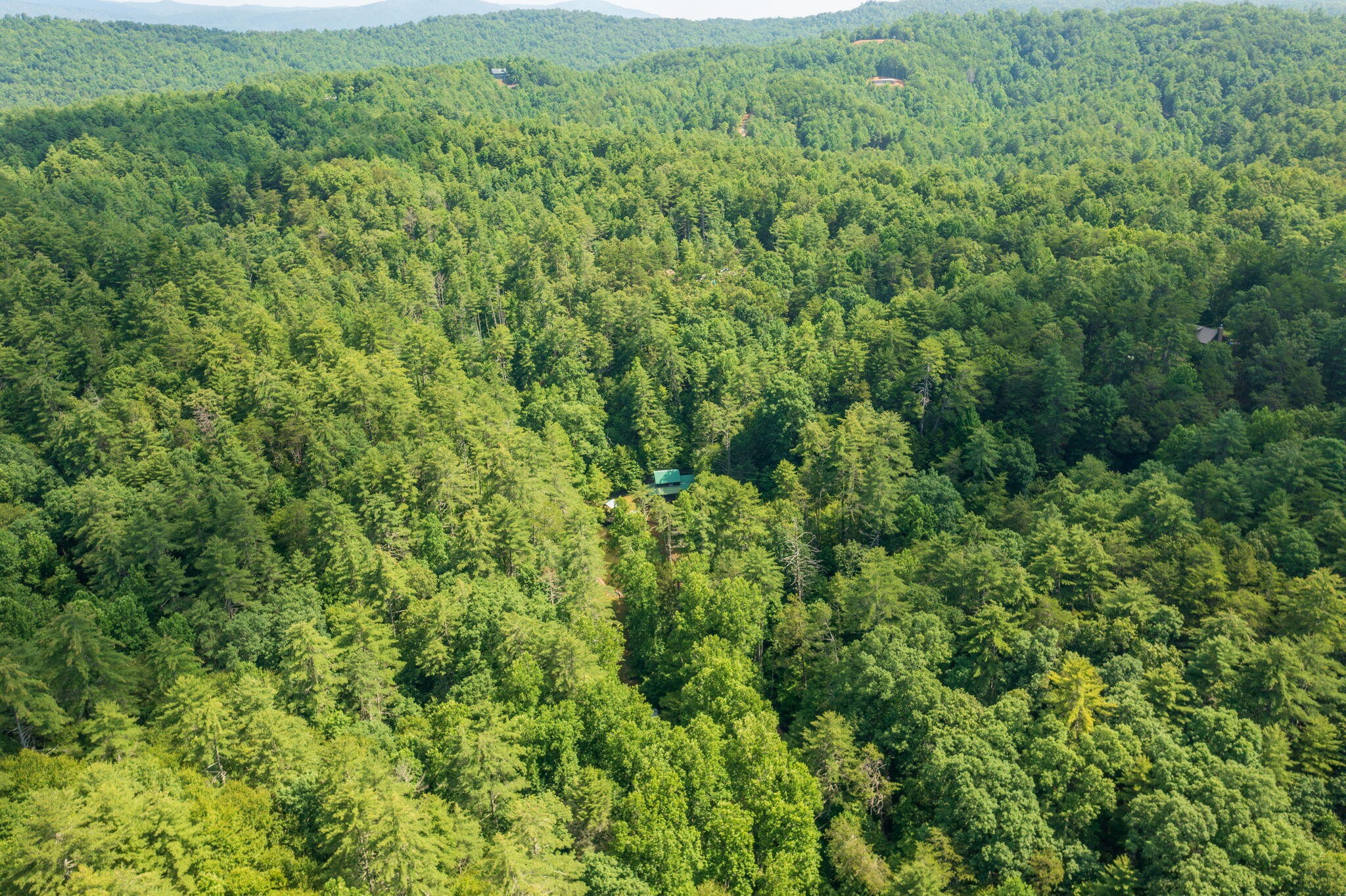 230 Big Towee Road Reliance, TN 37369 - Photo 28 of 69 an aerial view of residential house with outdoor space and trees all around