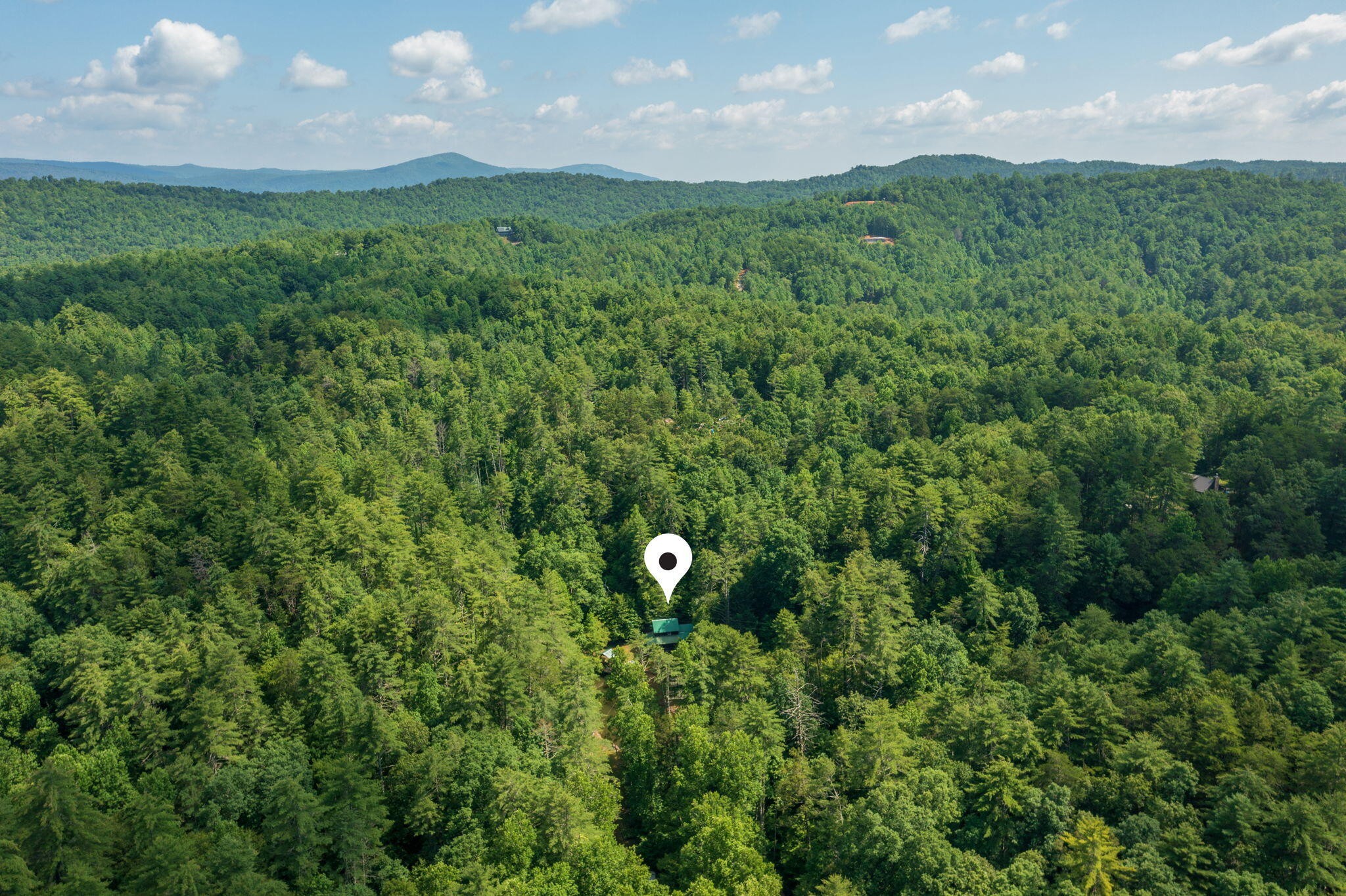 230 Big Towee Road Reliance, TN 37369 - Photo 29 of 69 a view of a green field in middle of a field