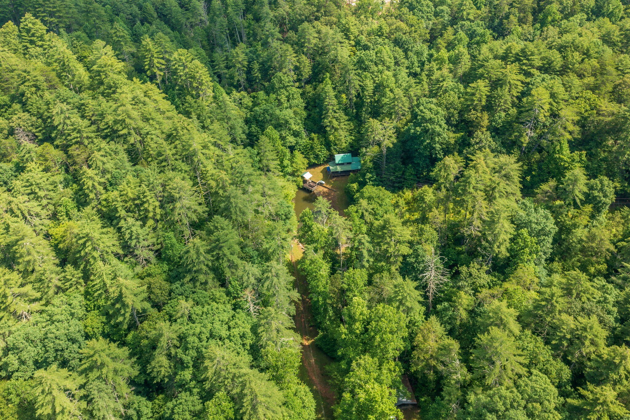 230 Big Towee Road Reliance, TN 37369 - Photo 31 of 69 an aerial view of residential house with outdoor space and trees all around
